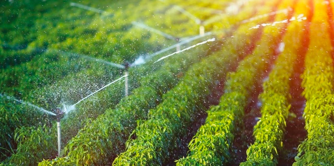 Génération Green à mi-parcours : ce que l'évaluation 2026 va mesurer
