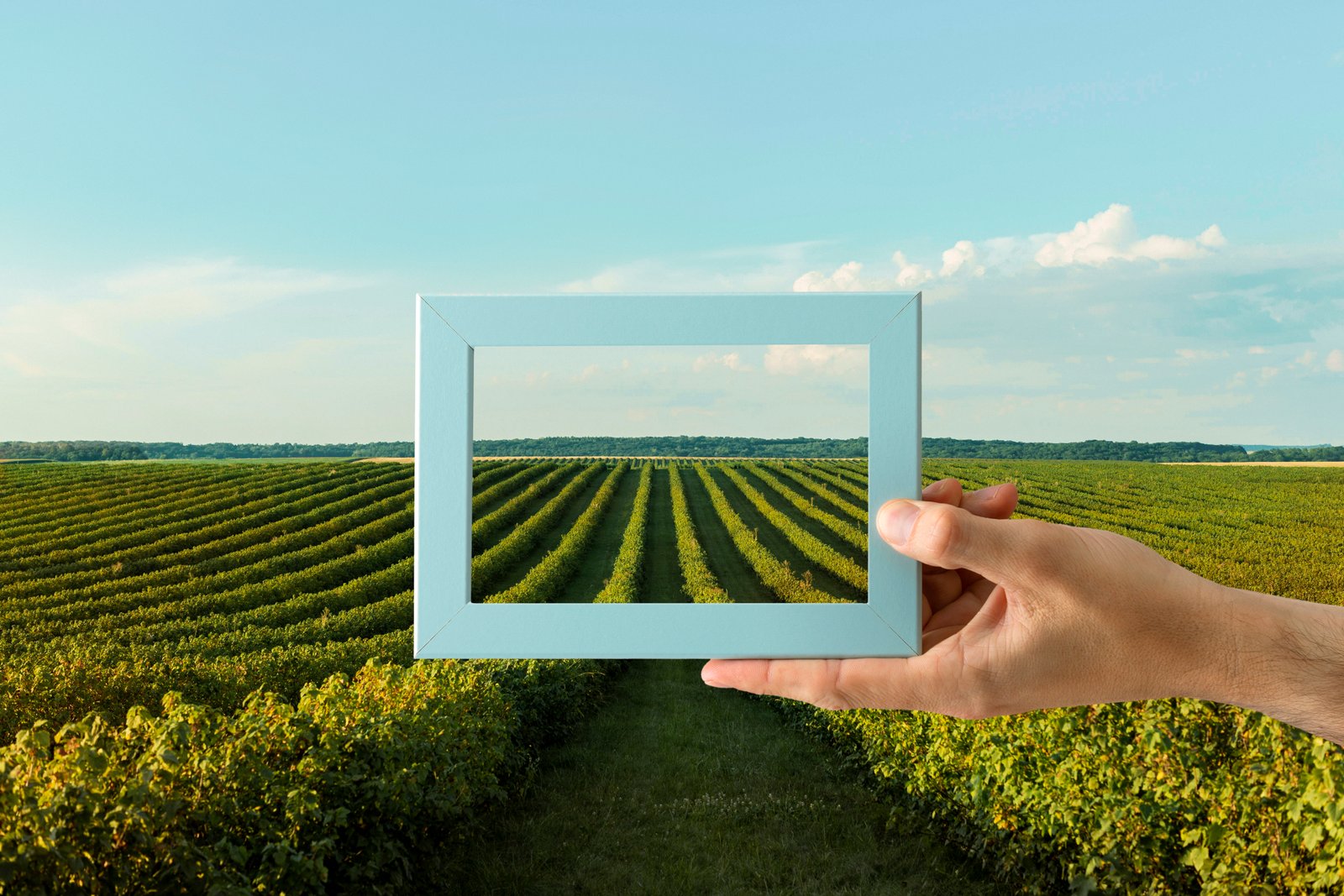 La sélection stratégique des fournisseurs agricoles au Maroc en 2026 : Entre résilience, numérique et durabilité