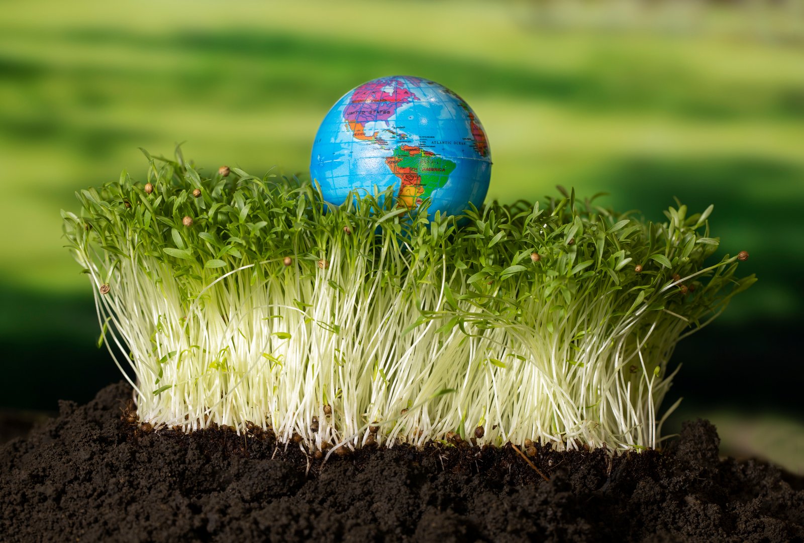 L’agriculture régénératrice : produire plus en respectant la planète