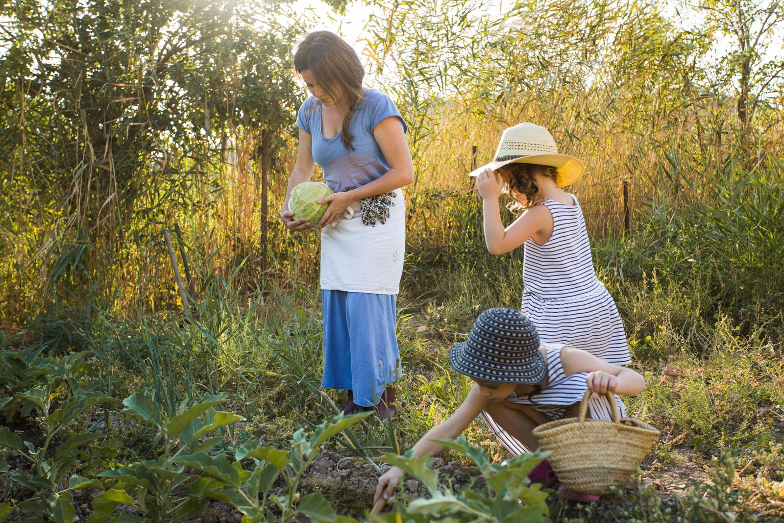 L’école à la ferme : quand les enfants deviennent apprentis agriculteurs