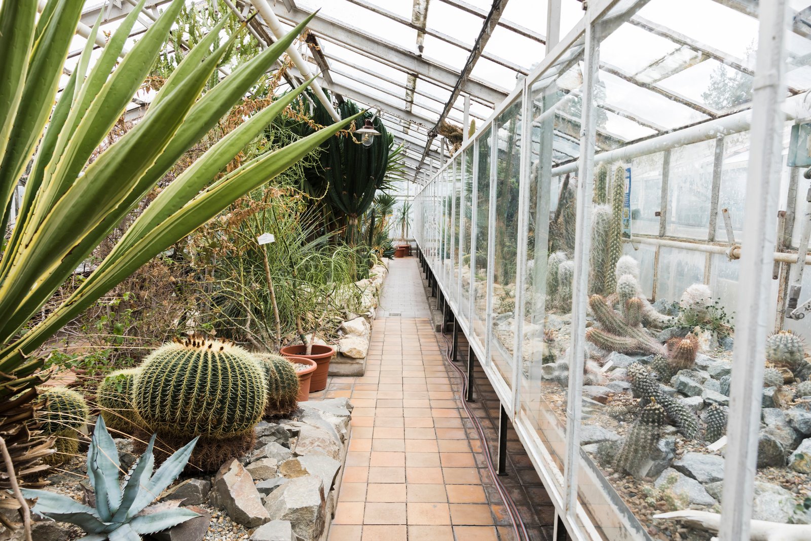 Les serres modernes : une solution face aux changements climatiques